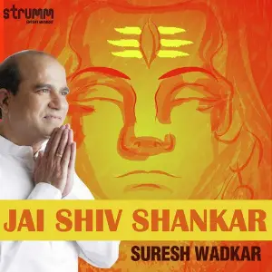Jai Shiv Shankar image