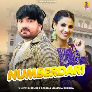 Numberdari image