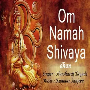 Om Namah Shivaya Dhun image