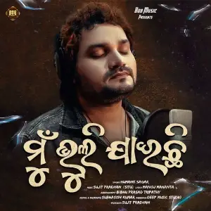 Mu Bhuli Jaichi image