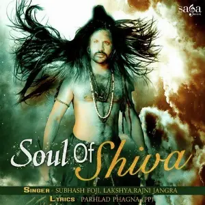 Soul Of Shiva image