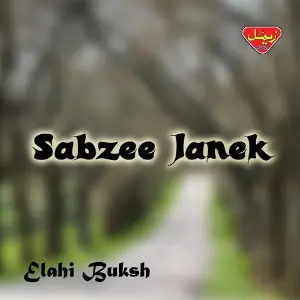 Sabzee Janek image