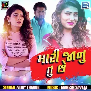 Mari Janu Tu Chhe image