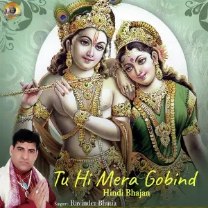 Tu Hi Mera Gobind image
