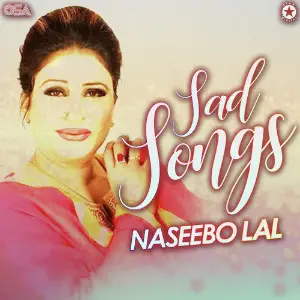 Sad Songs image
