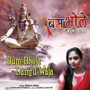 Bum Bhole Damru Wala image