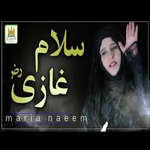 Salam Ghazi image