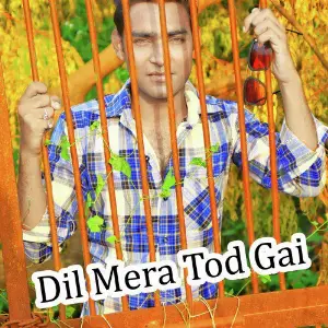 Dil Mera Tod Gai image