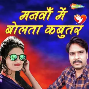 Manwa Main Bolta Kabutar image