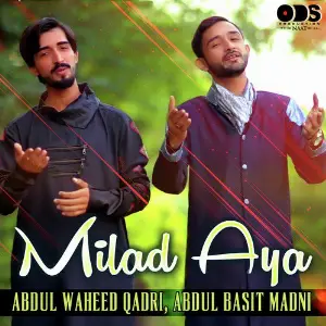 Milad Aya - Single image