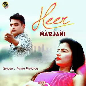 Heer Marjani image