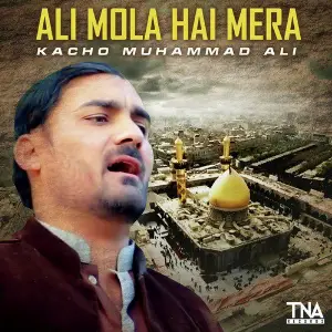 Ali Mola Hai Mera - Single image