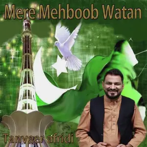 Mere Mehboob Watan image