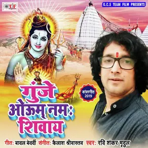 Gunje Om Namah Shivaya image