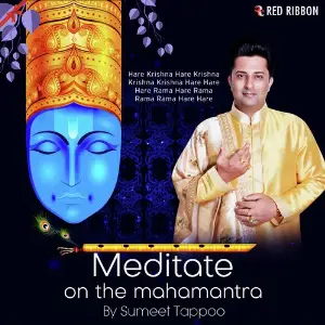 Meditate On The Mahamantra image