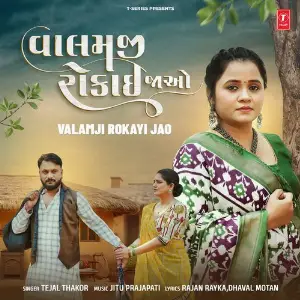 Valamji Rokayi Jao image