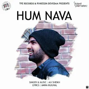Hum Nava image