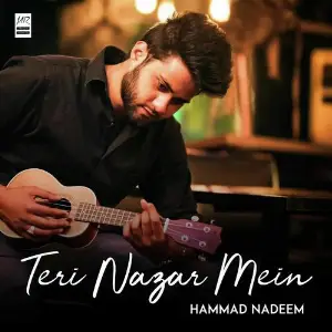 Teri Nazar Mein image