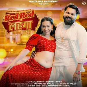 Red Red Lehnga image