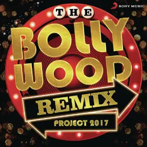 The Bollywood Remix Project 2017 image
