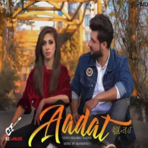 Aadat image
