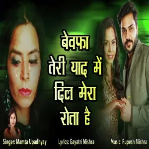 Bewafa Teri Yaad Me Dil Mera Rota Hai image