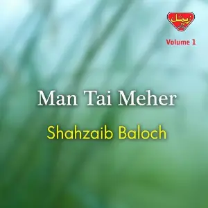Man Tai Meher, Vol. 1 image