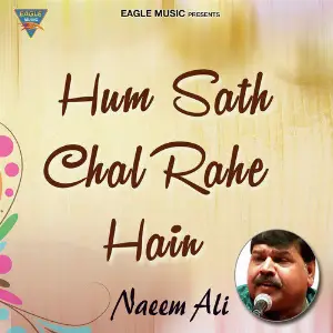 Hum Saath Chal Rahein Hain - Single image
