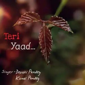 Teri Yaad image