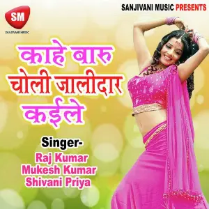 Kahe Baru Choli Jalidar Kaile image