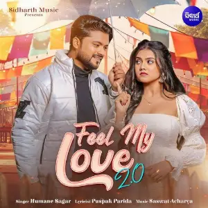 Feel My Love 2.0 image