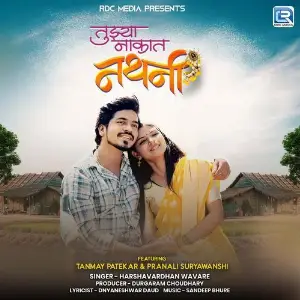 Tujhya Nakat Nathani image