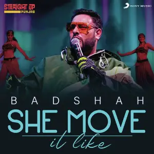 She Move It Like (Straight Up Punjab Live Version) image