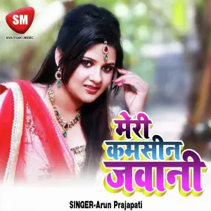 Meri Kamsin Jawani (Bhojpuri Romantic Song) image