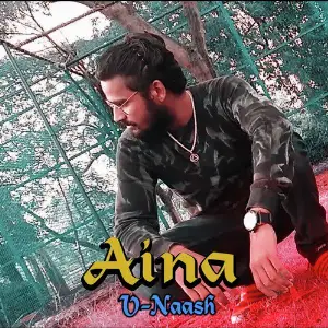 Aina image