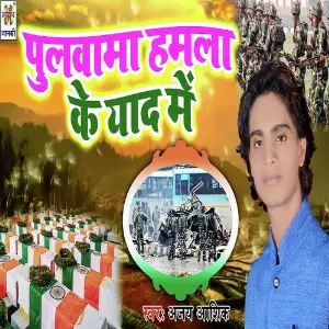 Pulwama Hamla Ke Yaad Me image