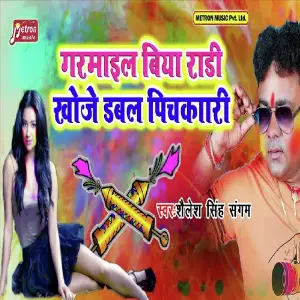 Garmail Biya Radi Khoje Double Pichkari image