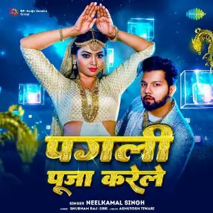 Pagli Puja Karele image