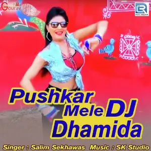 Pushkar Mele Dj Dhamida image