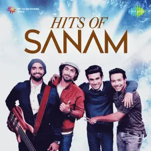 Hits Of Sanam Various Artists