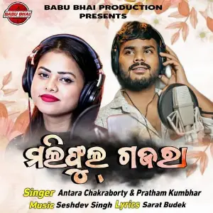 Maliphul Gajara image