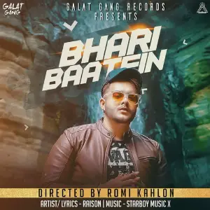 Bhari Baatein image