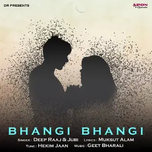 Bhangi Bhangi image