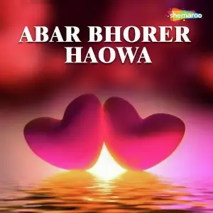Abar Bhorer Haowa image