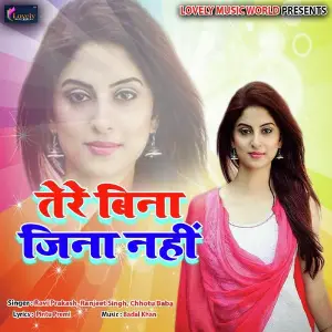 Tere Bina Jeena Nahi image