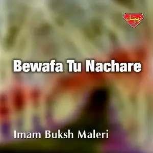 Bewafa Tu Nachare image