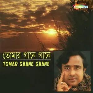 Tomar Gaane Gaane image