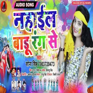 Nahaail Badu Rang Se image