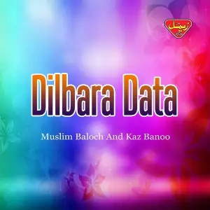 Dilbara Data image