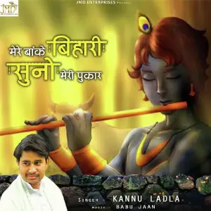 Mere Banke Bihari Suno Meri Pukar image